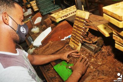 Los tabacaleros de Las Tunas rinden tributo a Lázaro Peña