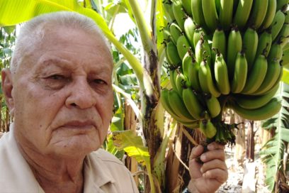 Cultivando la vida 22: Orisildo no se aplatana (+Video)