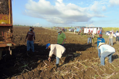 Realizan jornada de trabajo voluntario en saludo al Día del Campesino