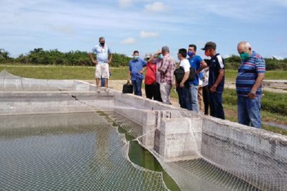 Alevinaje en Morón: La picadora aún no pica (+ Fotos) 