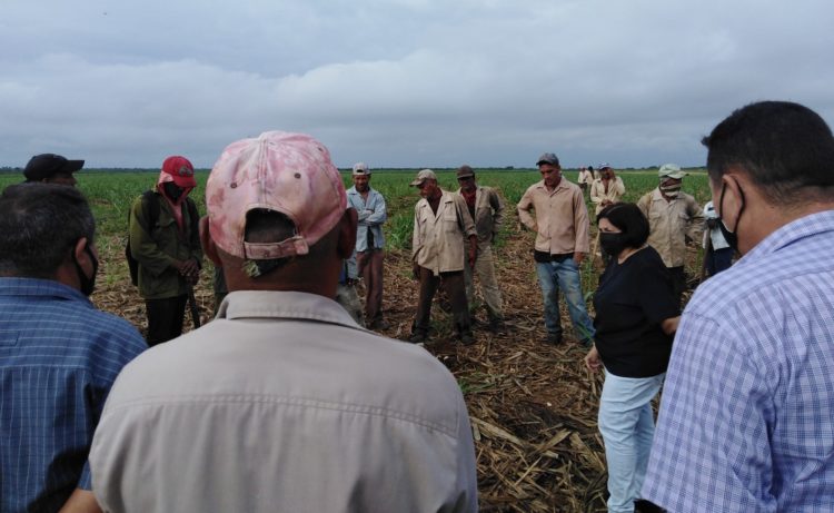 El secretariado del Comité Central y su estructura auxiliar que recorre Camagüey dialoga con trabajadores y visita comunidades vulnerables. Foto: Gretel Díaz Montalvo