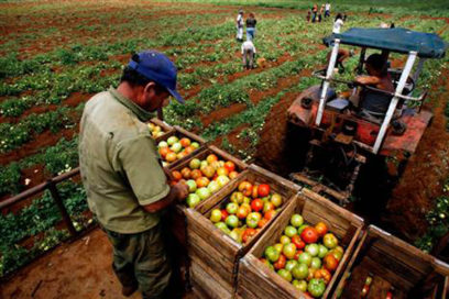 Analizan modificaciones a la Ley de Cooperativas Agropecuarias