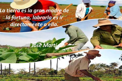 Celebra Cuba Día del Campesino