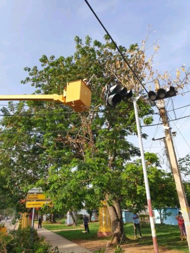 Trabajadores del sector eléctrico realizan poda de árboles que interfieren en la red eléctrica como parte de las acciones prácticas del Meteoro en la central provincia. Foto: Cortesía de Empresa Eléctrica de Sancti Spíritus