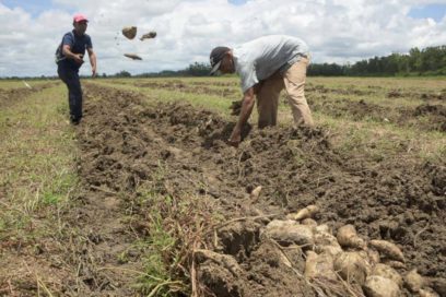 Números preliminares del impacto de intensas lluvias en Pinar del Río (+Fotos)