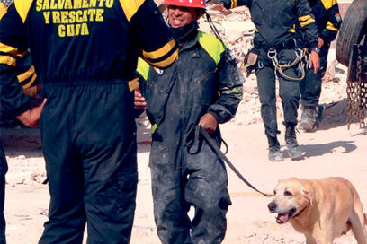 Sistema de salud sigue activado