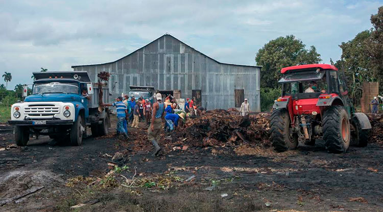 En pocas horas iban desapareciendo los restos del desastre y a la par crece la voluntad de concentrarse en que este duro golpe no incida sobre los resultados de la actual campaña. Foto: Pedro Paredes Hernández