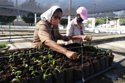 Marca prioridades CTC en Camagüey
