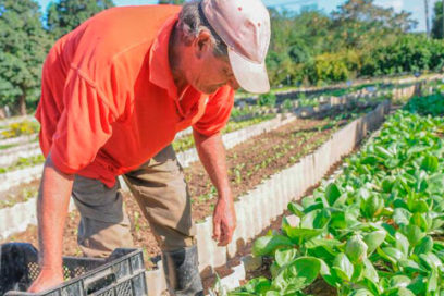 Se inicia taller nacional de autoabastecimiento local