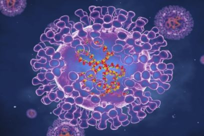 Casos de viruela del mono prende alertas sanitarias