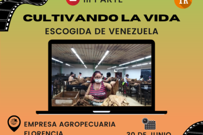 Cultivando la vida 23, parte III: Artesanas del mejor tabaco (+Fotos y video)