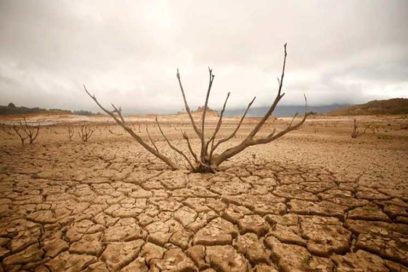 Desertificación y sequía, problemas del presente y futuro