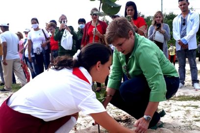 Crece cobertura boscosa en Las Tunas (+Fotos)