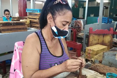 Cultivando la vida 23, parte II: El tabaco sigue prendido