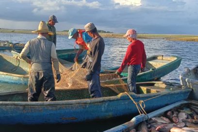 En Sancti Spíritus: utilidades con peso en el crecimiento de la productividad