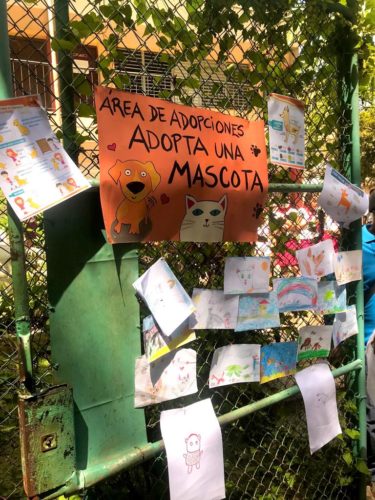 Uno de los objetivos del encuentro fue incentivar la adopción responsable de mascotas. Foto: Patricia Espinosa Valdés.