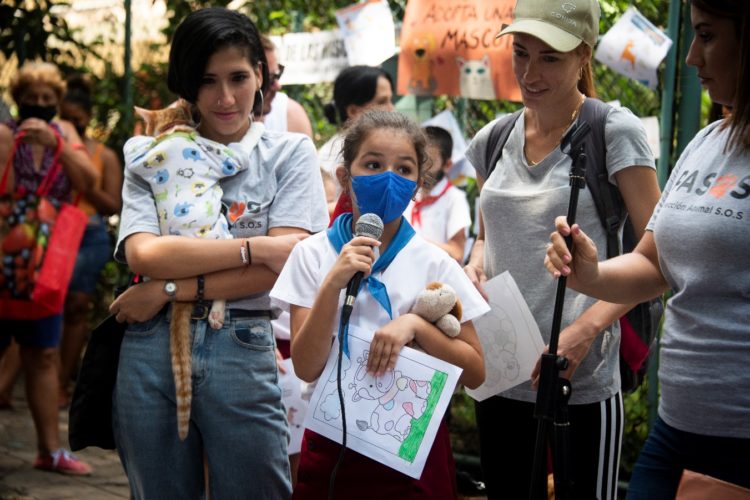 Los alumnos compartieron sentimientos y experiencias sobre la protección de los animales en su intercambio con integrantes de Pasos. Foto: Karla Llanes.
