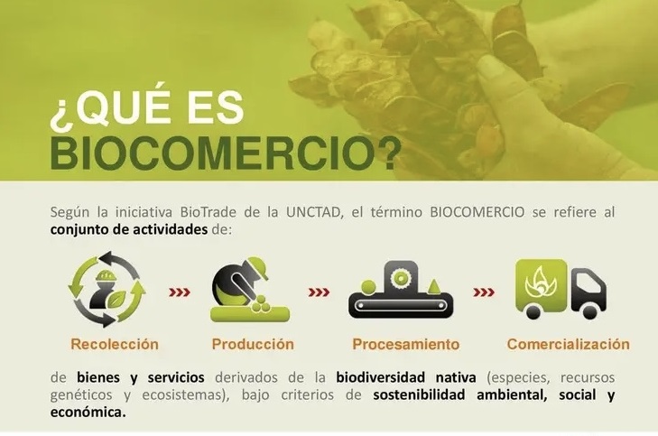 biocomercio, Alcona S.A