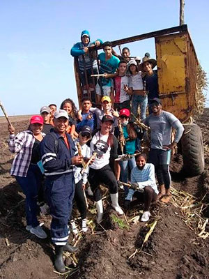 Jóvenes cienfuegueros en la siembra de caña. Foto: Cortesía UJC