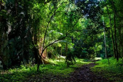 En Camagüey se aboga por fortalecer la cultura ambiental