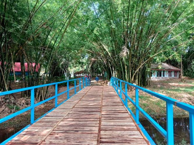 Foto: Tomadas de acn.cu