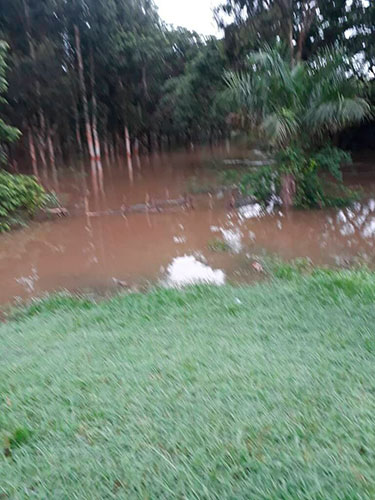 Foto: Cortesía de Tatiana Tabío