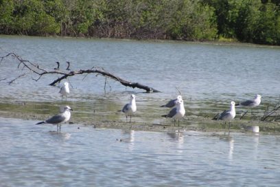 Crean en Las Tunas UEB Conservación y Turismo de Naturaleza