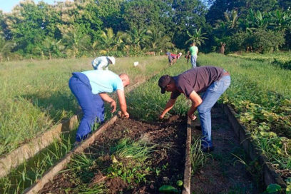 Apoya la CTC recuperación de la Agricultura Urbana en Pinar del Río (+Fotos)