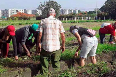 Pinar del Río inmerso en la recuperación (+Fotos)