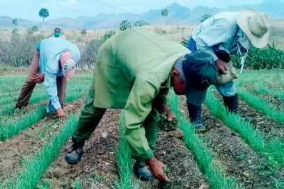 Calentar los polos (Separata Economía)