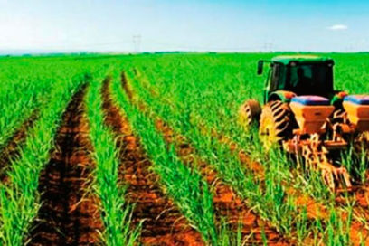 Salvar la agroindustria azucarera: compromiso económico e histórico
