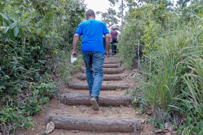 Día del Trabajador Forestal: Preservación, utilidad y futuro crecen en la floresta (+ Fotos)