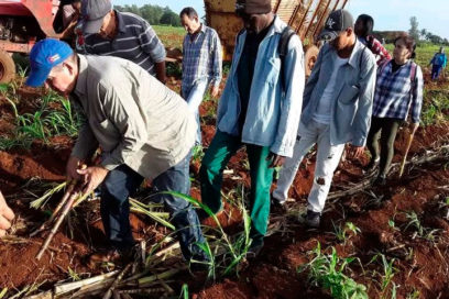 Avileños saludan el 26 de Julio