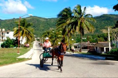Tarea Vida, entrañable amiga