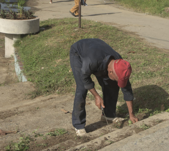 Los trabajadores de Servicios Comunales ya acometen la restauración de las áreas verdes. Foto: Pedro Paredes Hernández