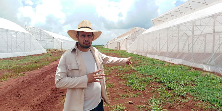 Estas nuevas casas abren camino hacia la diversificación de las producciones de vegetales y a la humanización del trabajo, destaca el ingeniero agrónomo Yunier Cruz Romo, especialista fitosanitario. Foto: José Luis Martínez Alejo