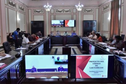 Analiza Consejo de Estado proyecto del Código de las Familias y cumplimiento del Cronograma Legislativo (+Fotos)