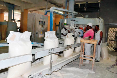 Mirar el plan con luz larga