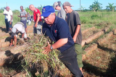 Los contrastes de julio que prefiere Cárdenas (+Fotos)