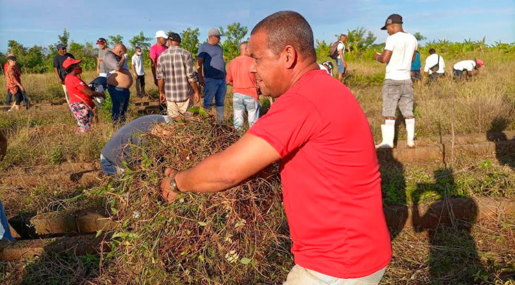Trabajadores de varios sectores apoyaron las labores. Foto: Noryis
