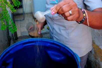 Por la erradicación del vector