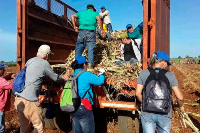 Meterle caña (+Fotos y video)