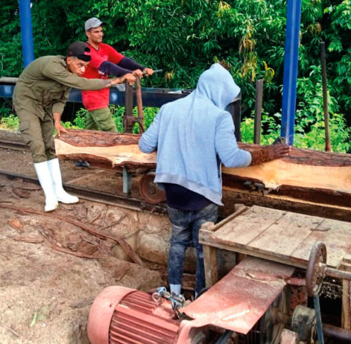 Radamés Sánchez, de 29 años; Jesús Pérez, de 25 y Osmel Artiaga, de 20, están entre los que encontraron empleo gracias a Los tres pinos. Aunque habían laborado en otros sitios, refieren que allí se quedan. Foto: Yolanda Molina Pérez