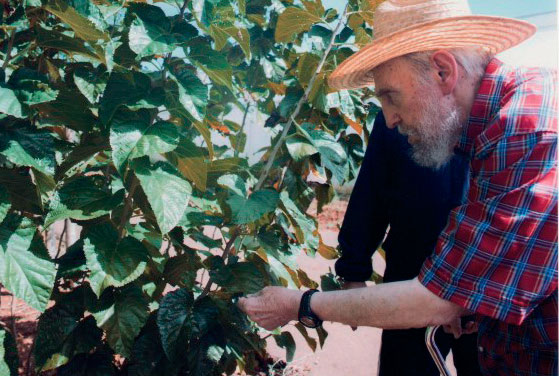 Foto: tomada del sitio Fidel, Soldado de las Ideas