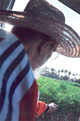 Fidel observa los campos donde hacía sus experimentos. Foto: Tomada del periódico Adelante