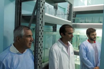 Inauguran primer laboratorio de peces cebra con fines biomédicos