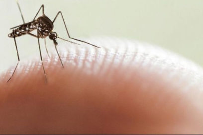 Insisten en lucha integral contra el Aedes aegypti en Artemisa