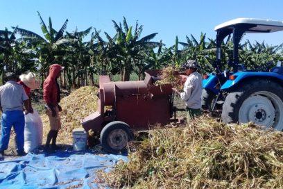 Emulación a pie de surco en Santiago de Cuba