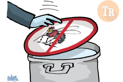 LA GUAGUA: Sin Aedes aegypti no hay dengue