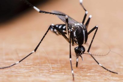 Actualizan la situación epidemiológica del país